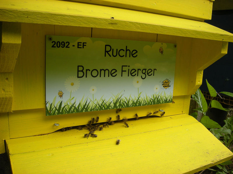 La ruche Brome Fierger